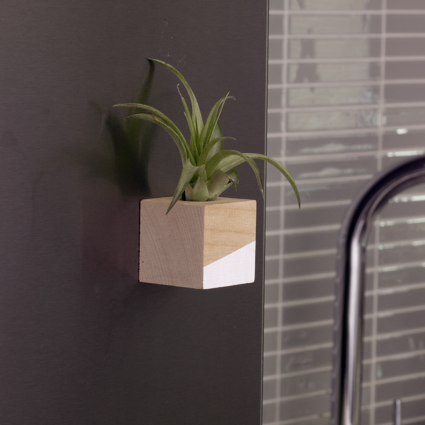 Cube Air Plant Magnet