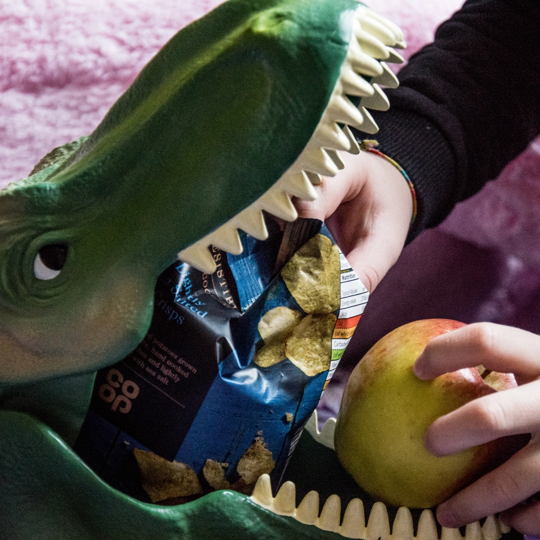 Dinosaur Case Lunch Box