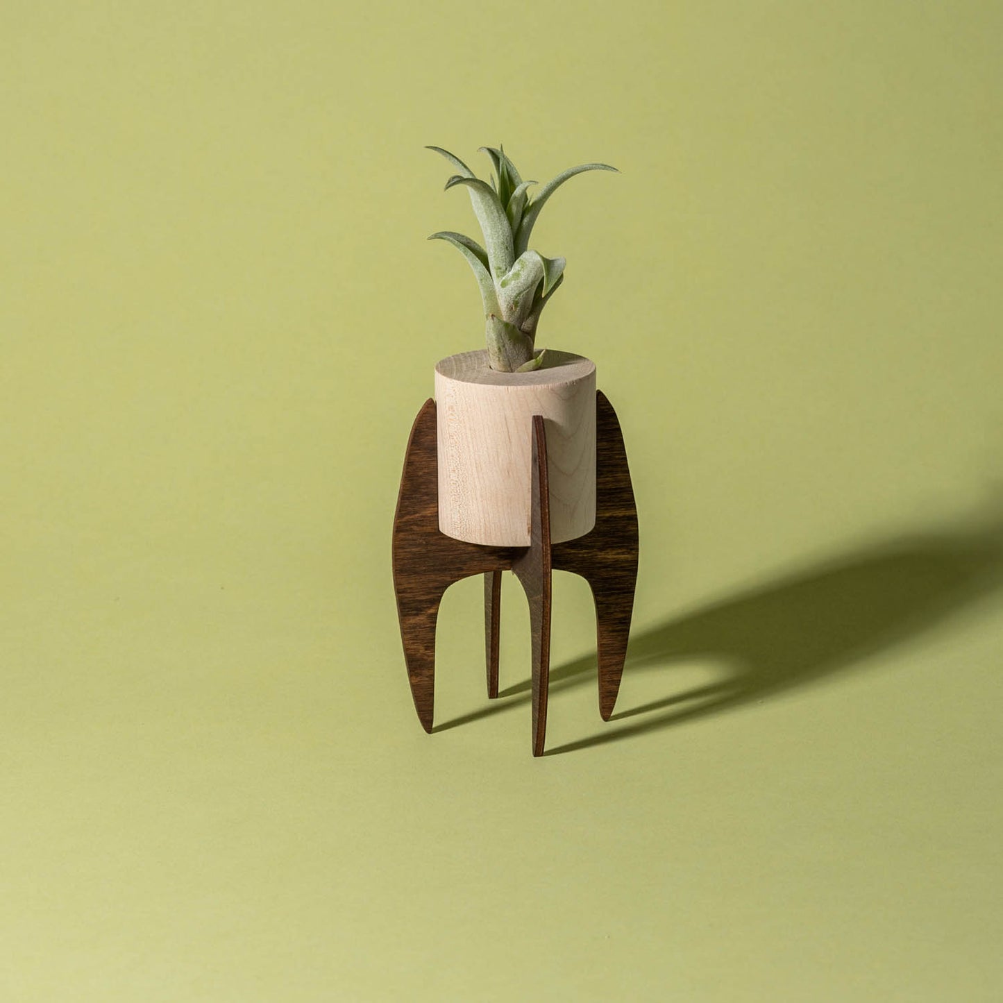Mini Plant Stand