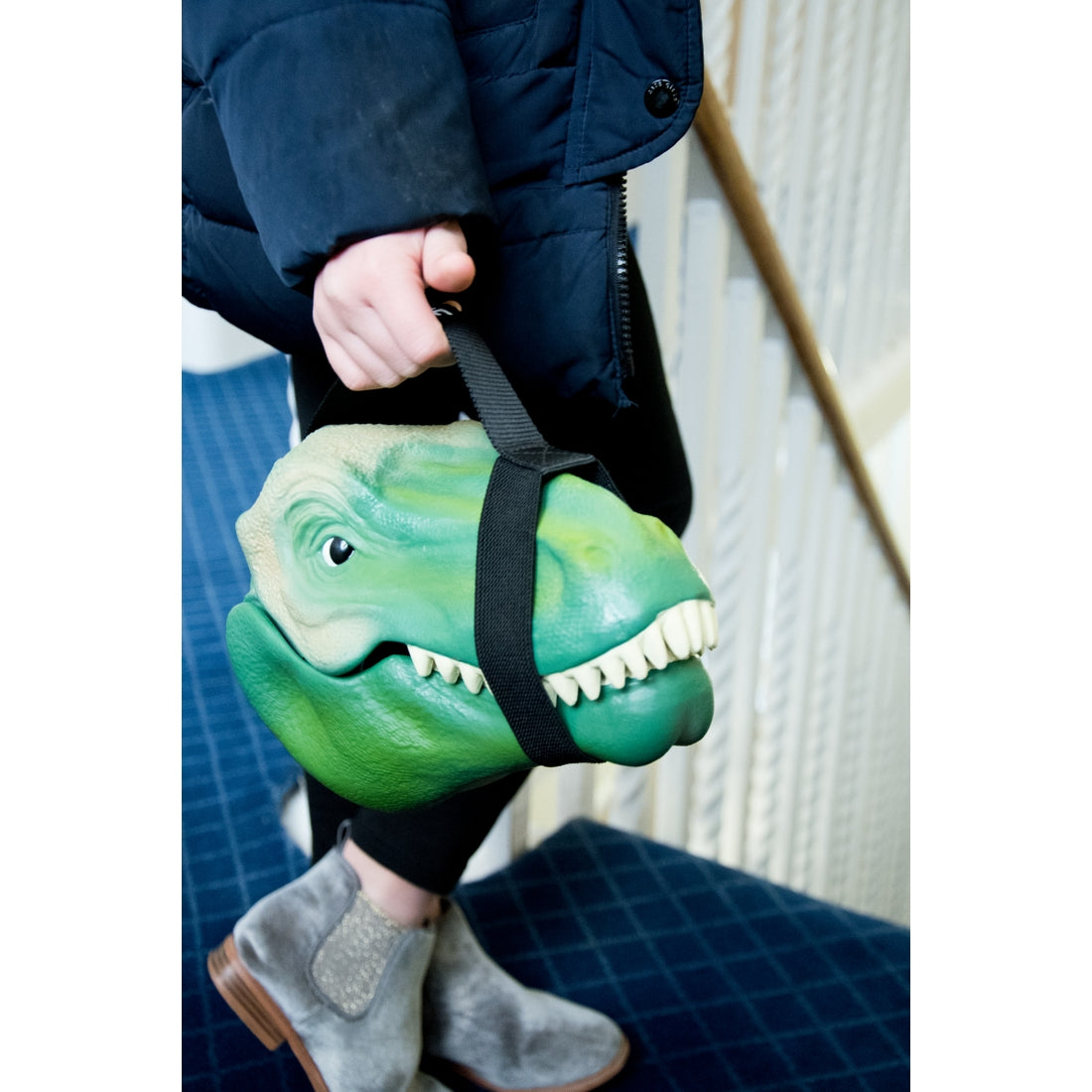 Dinosaur Case Lunch Box