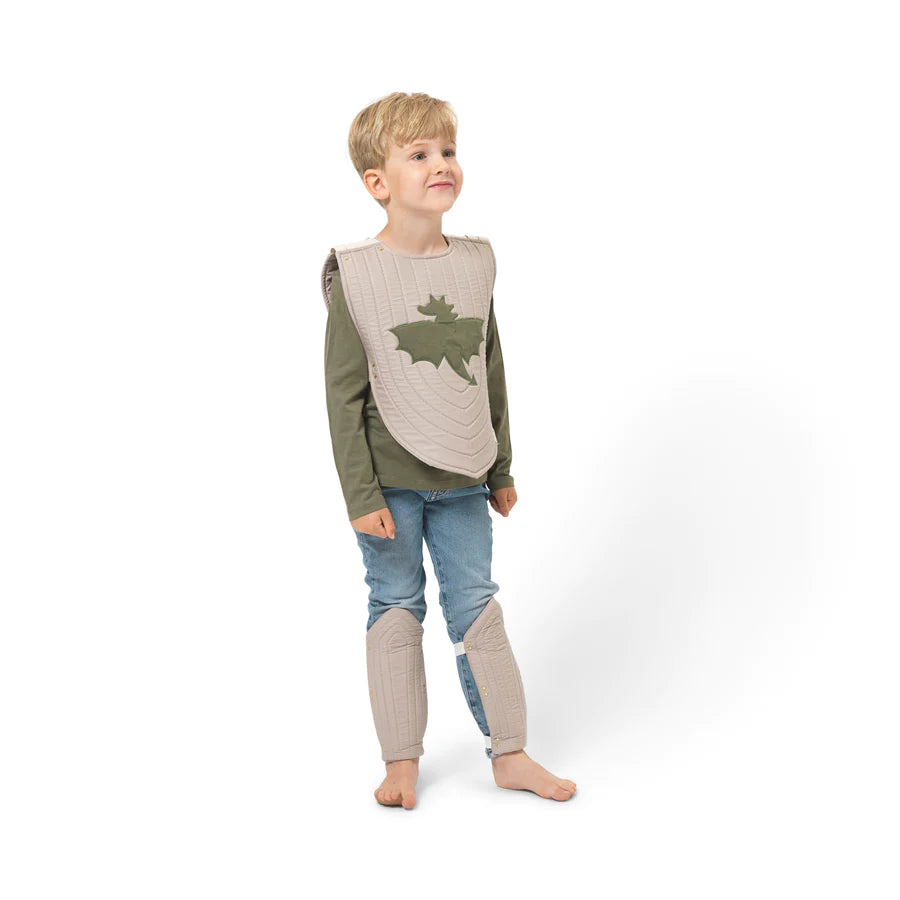 Knight Dress up Set