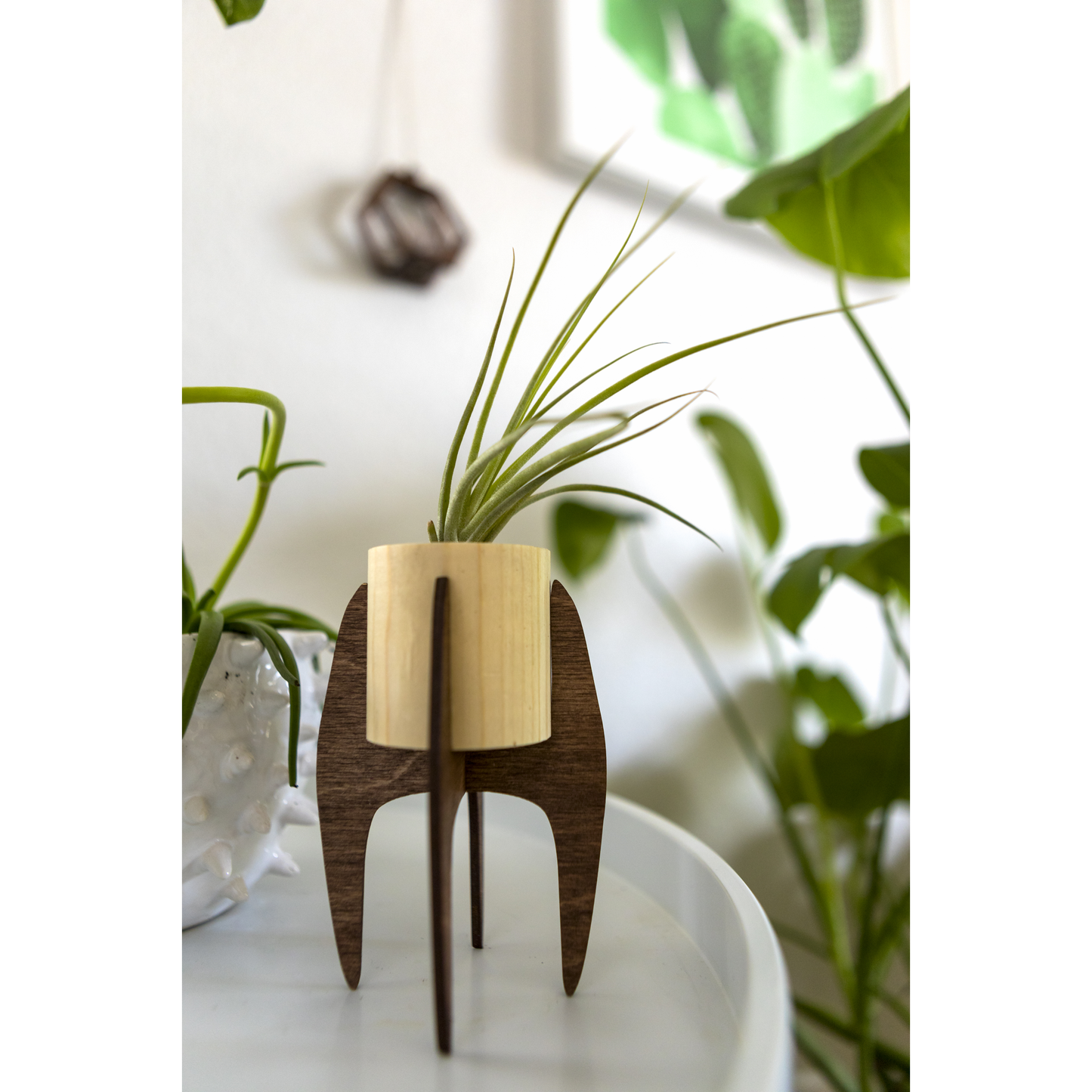 Mini Plant Stand